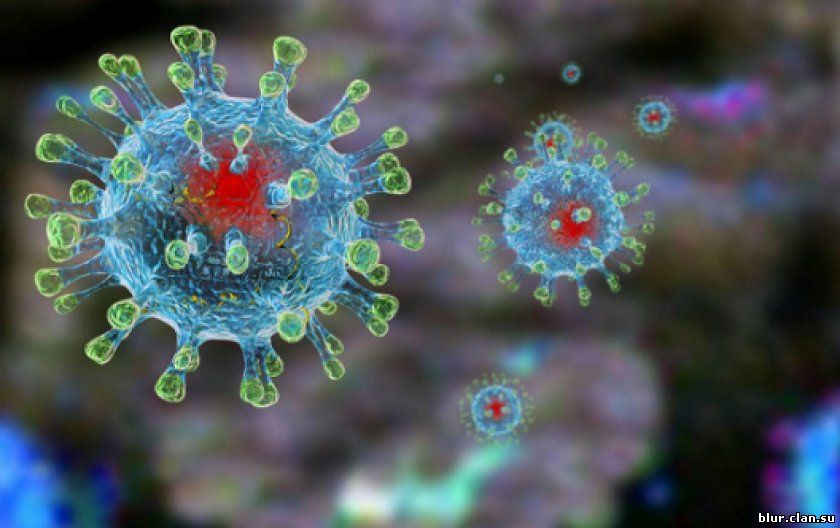 Не верьте в мифы о коронавирусе